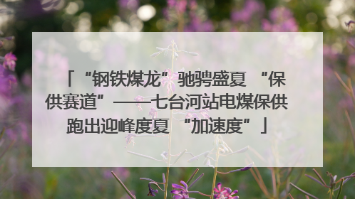 “钢铁煤龙”驰骋盛夏 “保供赛道”——七台河站电煤保供跑出迎峰度夏 “加速度”