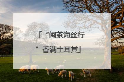 “闽茶海丝行”香满土耳其