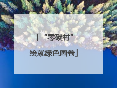 “零碳村” 绘就绿色画卷