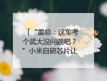 “雷总：这车考个武大没问题吧？”小米自研芯片让YU7会学习｜汽车科技