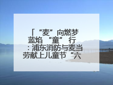 “麦”向燃梦 蓝焰 “童” 行：浦东消防与麦当劳献上儿童节“六一”礼