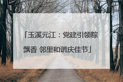 玉溪元江：党建引领粽飘香 邻里和谐庆佳节