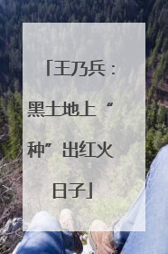 王乃兵：黑土地上“种”出红火日子