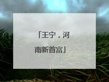 王宁，河南新首富