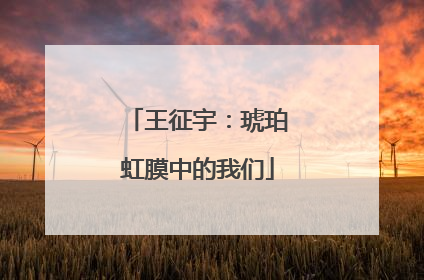 王征宇：琥珀虹膜中的我们