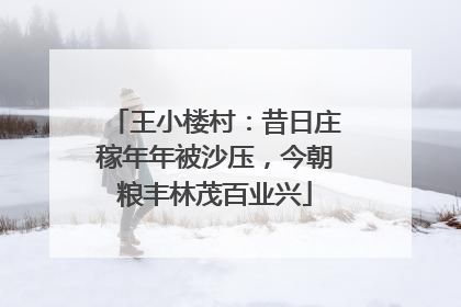 王小楼村：昔日庄稼年年被沙压，今朝粮丰林茂百业兴