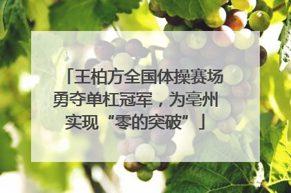 王柏方全国体操赛场勇夺单杠冠军，为亳州实现“零的突破”