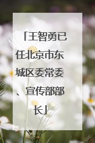 王智勇已任北京市东城区委常委、宣传部部长