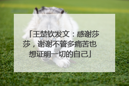 王楚钦发文：感谢莎莎，谢谢不管多痛苦也想证明一切的自己