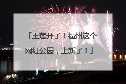 王莲开了！福州这个网红公园，上新了！