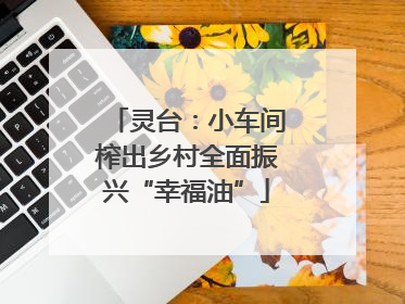 灵台：小车间榨出乡村全面振兴“幸福油”