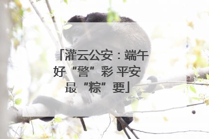 灌云公安：端午好“警”彩 平安最“粽”要