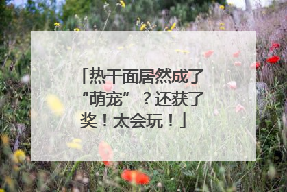 热干面居然成了“萌宠”？还获了奖！太会玩！