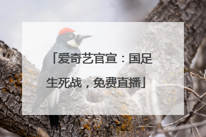 爱奇艺官宣：国足生死战，免费直播