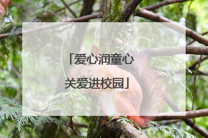 爱心润童心 关爱进校园