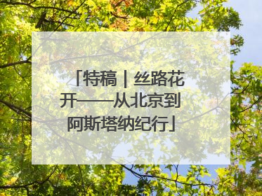 特稿｜丝路花开——从北京到阿斯塔纳纪行