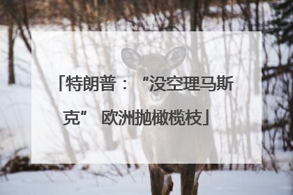特朗普：“没空理马斯克” 欧洲抛橄榄枝
