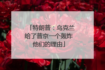 特朗普：乌克兰给了普京一个轰炸他们的理由