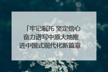 牢记嘱托 坚定信心 奋力谱写中原大地推进中国式现代化新篇章（六）河南绘就“行走河南·读懂中国”新画卷丨牢记嘱托谱新篇