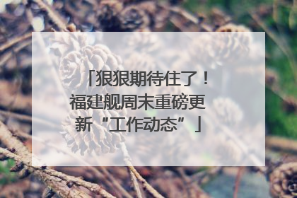 狠狠期待住了！福建舰周末重磅更新“工作动态”