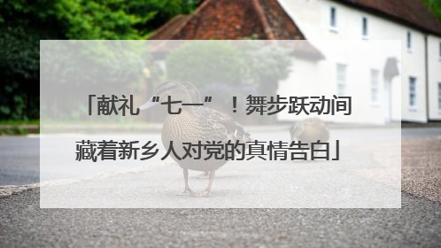 献礼“七一”！舞步跃动间藏着新乡人对党的真情告白