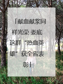 献血献浆同样光荣 娄底这群“热血英雄”获全省表彰