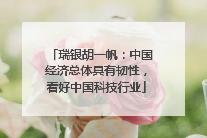 瑞银胡一帆：中国经济总体具有韧性，看好中国科技行业