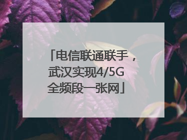电信联通联手，武汉实现4/5G全频段一张网