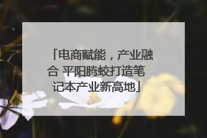 电商赋能，产业融合 平阳腾蛟打造笔记本产业新高地