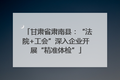 甘肃省肃南县：“法院+工会”深入企业开展“精准体检”