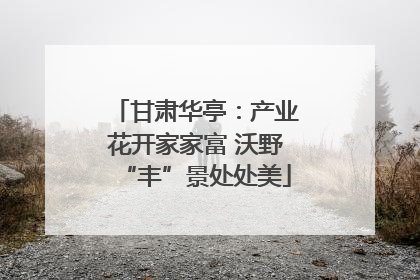 甘肃华亭：产业花开家家富 沃野“丰”景处处美