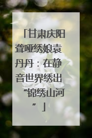 甘肃庆阳聋哑绣娘袁丹丹：在静音世界绣出“锦绣山河”