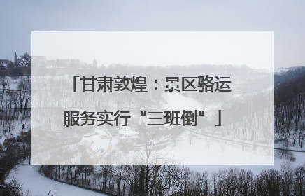 甘肃敦煌：景区骆运服务实行“三班倒”