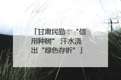 甘肃民勤：“信用种树” 汗水浇出“绿色存折”