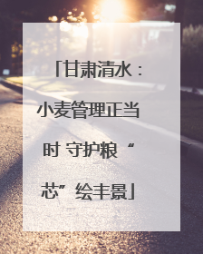 甘肃清水：小麦管理正当时 守护粮“芯”绘丰景