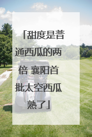 甜度是普通西瓜的两倍 襄阳首批太空西瓜熟了