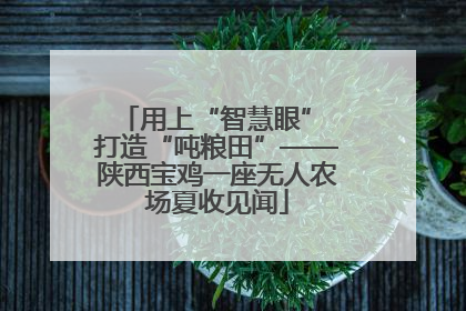 用上“智慧眼” 打造“吨粮田”——陕西宝鸡一座无人农场夏收见闻