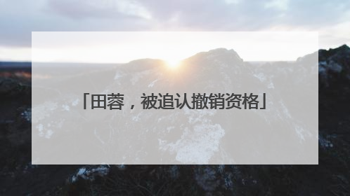 田蓉，被追认撤销资格