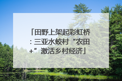 田野上架起彩虹桥：三亚水蛟村“农田+”激活乡村经济