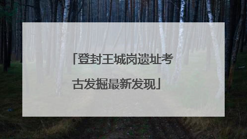 登封王城岗遗址考古发掘最新发现