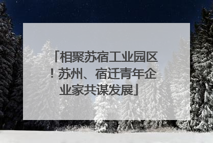 相聚苏宿工业园区！苏州、宿迁青年企业家共谋发展