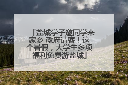 盐城学子邀同学来家乡 政府请客！这个暑假，大学生多项福利免费游盐城