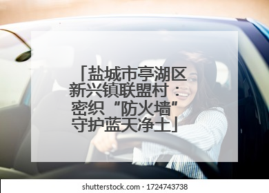 盐城市亭湖区新兴镇联盟村：密织“防火墙”守护蓝天净土