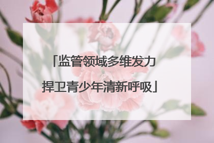监管领域多维发力 捍卫青少年清新呼吸