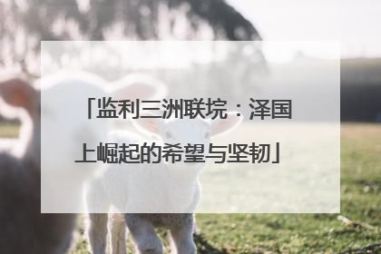 监利三洲联垸：泽国上崛起的希望与坚韧