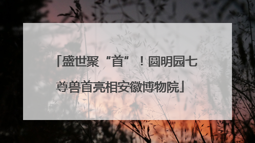 盛世聚“首”！圆明园七尊兽首亮相安徽博物院