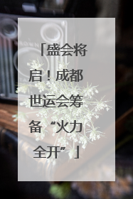 盛会将启！成都世运会筹备“火力全开”