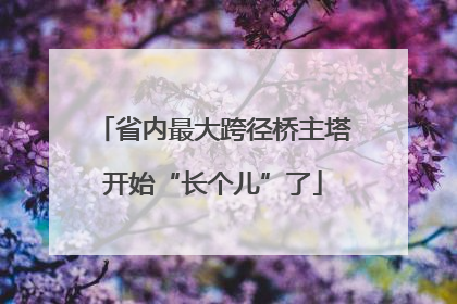 省内最大跨径桥主塔开始“长个儿”了