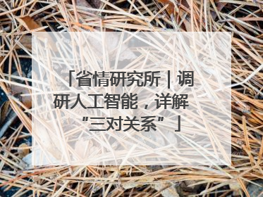 省情研究所｜调研人工智能，详解“三对关系”