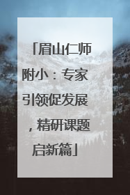 眉山仁师附小：专家引领促发展，精研课题启新篇